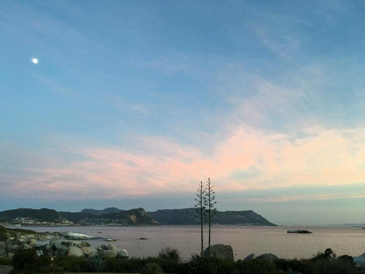 Simonʼs Town Bosky Dell On Boulders Beach מראה חיצוני תמונה