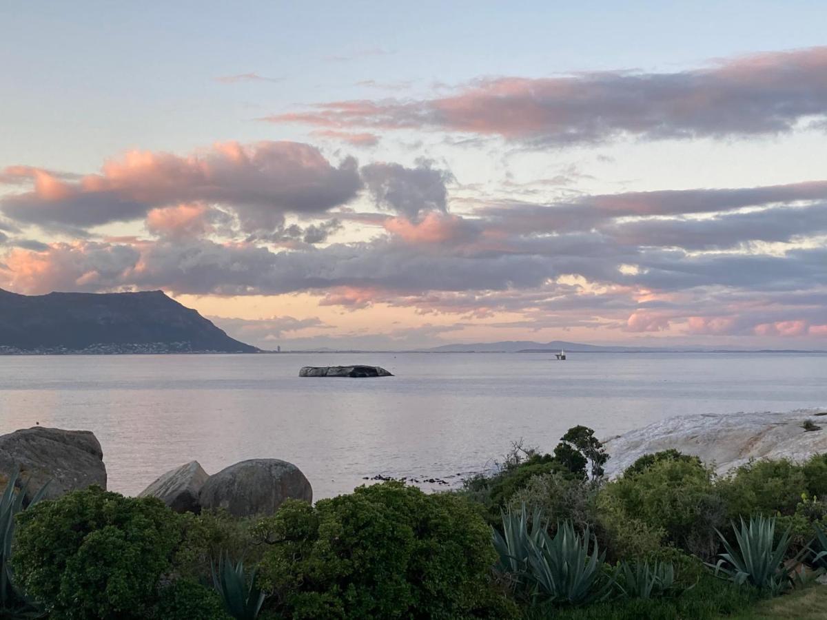Simonʼs Town Bosky Dell On Boulders Beach מראה חיצוני תמונה