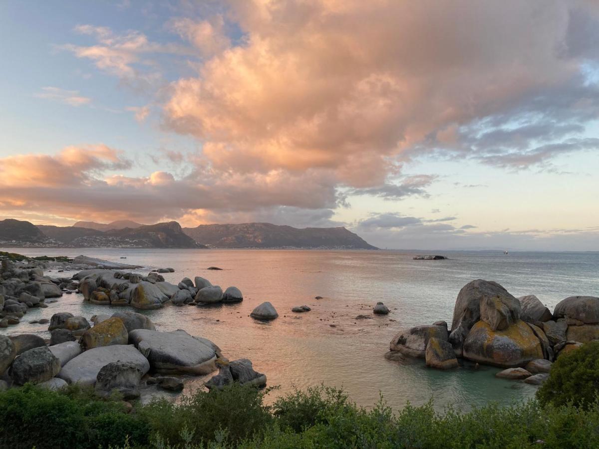 Simonʼs Town Bosky Dell On Boulders Beach מראה חיצוני תמונה
